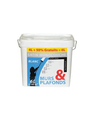 RECA GSB mur & plafond mono 4L + 50%