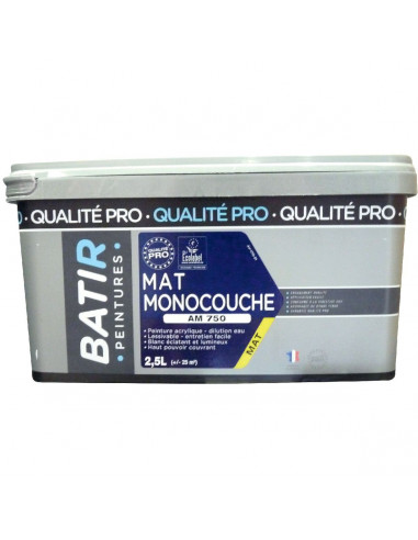 RECA Peinture Bat.Mat mono AM750 blanc 2,5L