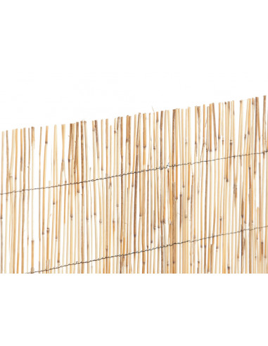 CATRAL Paillon en bambous pelés 1x5m
