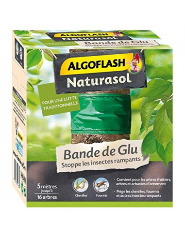 ALGOFLASH Naturasol Bande de glu 5 m