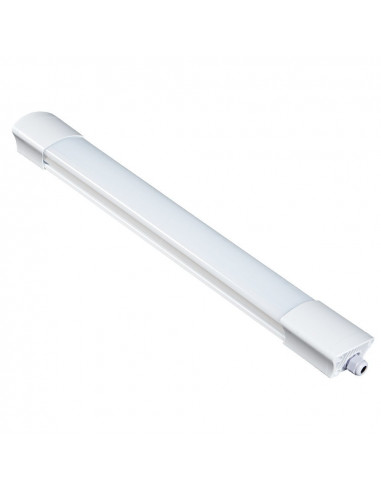 ELECTRALINE Réglette LED extérieur 20W 4000K