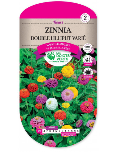 LES DOIGTS VERTS Zinnia Double Lilliput Varié