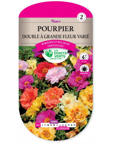 LES DOIGTS VERTS Pourpier Double A Grande Fleur varié