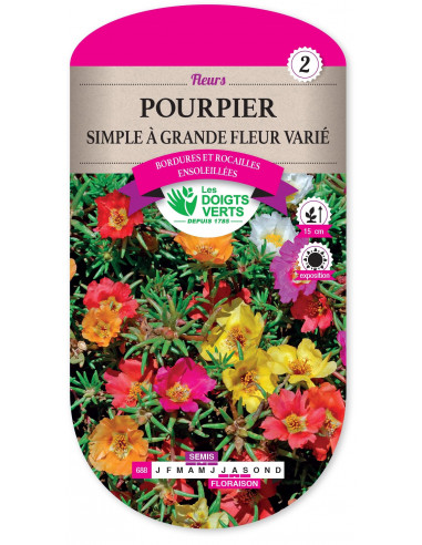 LES DOIGTS VERTS Pourpier Simple à Grande Fleur Varié