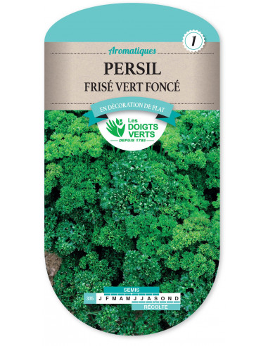 LES DOIGTS VERTS Persil Frisé vert foncé