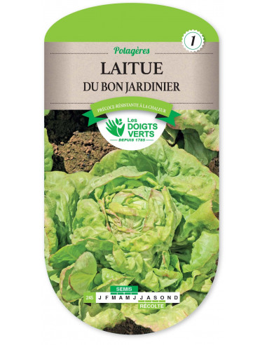 LES DOIGTS VERTS Laitue Du Bon Jardinier