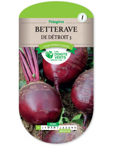 LES DOIGTS VERTS Betterave De Détroit 3