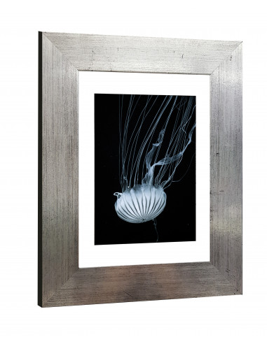 DOZZA Cadre LARISIS 50 x 70 cm Argent/Noir