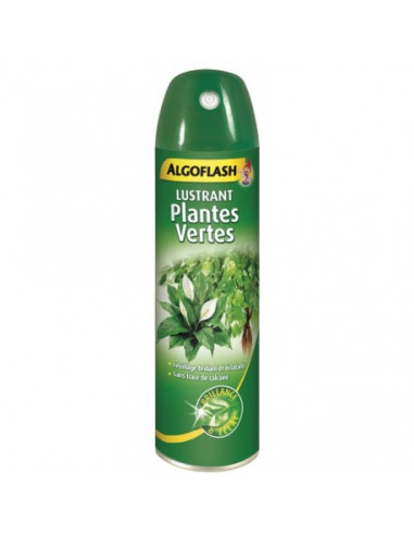 ALGOFLASH Lustrant pour plantes vertes 210 ml