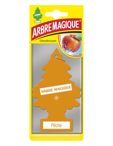 AURILIS Arbre magique orange peche