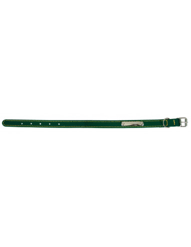 ZOLUX Collier Cuir Piqué Simple 45 cm vert