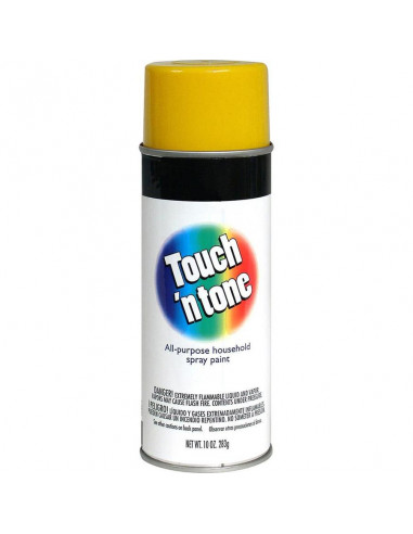 RUST-OLEUM Bombe de Peinture Aérosol TOUCH N TONE multi usages 10 oz 283 g