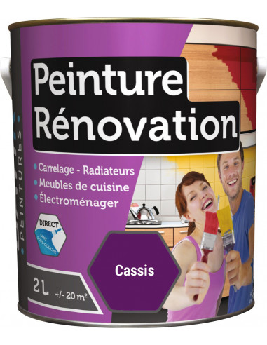 RECA Peinture Rénovation Multi-surfaces BATIR Cassis 2L