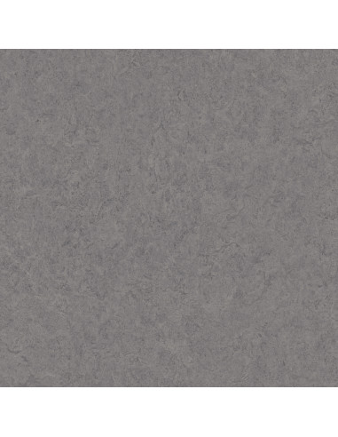 IVC Linoleum PVC LEOLINE SMART LUNA PICASSO 572 Rouleau L.30 x l.4 m Ep. 2.0 mm