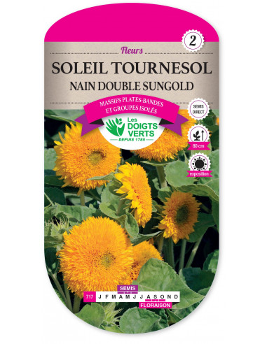 LES DOIGTS VERTS Soleil Tournesol Nain Double Sungold