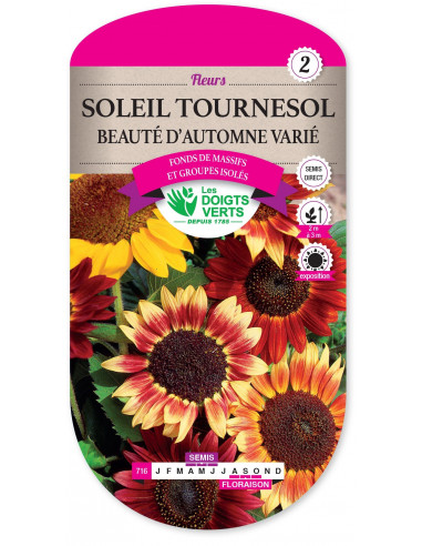 LES DOIGTS VERTS Soleil Tournesol Beauté d'Automne Varié