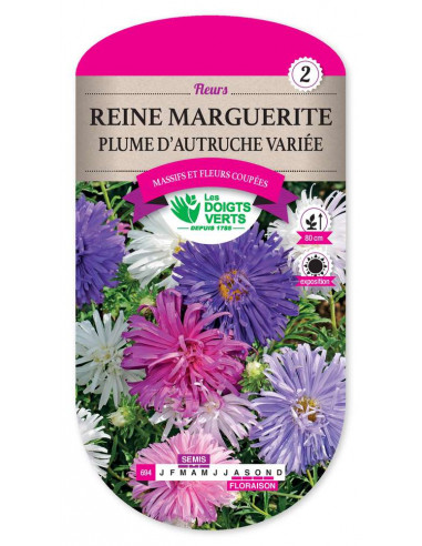 LES DOIGTS VERTS Reine Marguerite Plume d'Autruche Variée