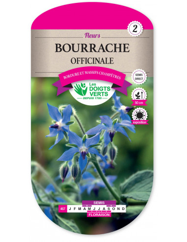 LES DOIGTS VERTS Bourrache Officinale