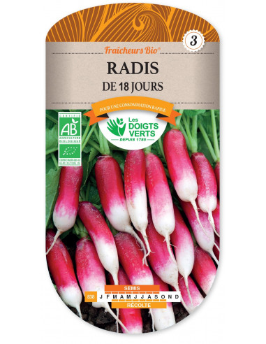 LES DOIGTS VERTS Radis de 18 jours Bio