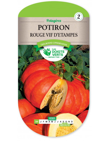 LES DOIGTS VERTS Potiron Rouge Vif d'Etampes