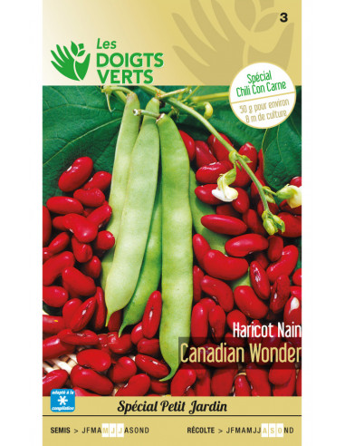 LES DOIGTS VERTS Haricot Nain Canadian Wonder 50g