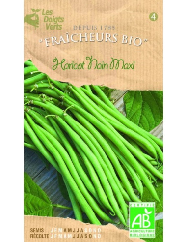 LES DOIGTS VERTS Haricot Nain Maxi Bio 50g