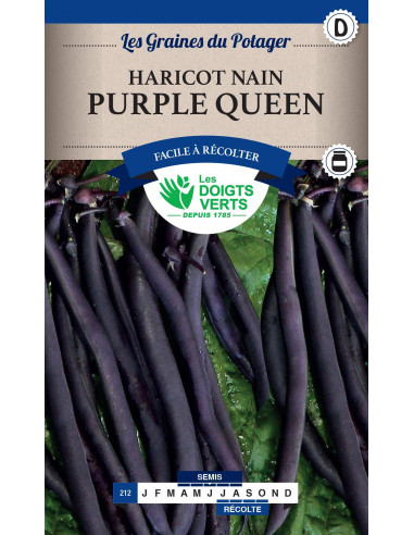 LES DOIGTS VERTS Haricot Nain Purple Queen 50g