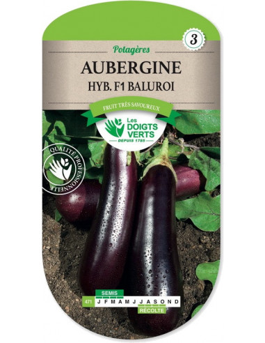 LES DOIGTS VERTS Aubergine Baluroi Hybride F1