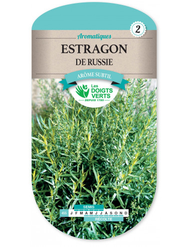 LES DOIGTS VERTS Estragon De Russie