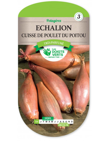 LES DOIGTS VERTS Échalion Cuisse de Poulet du Poitou