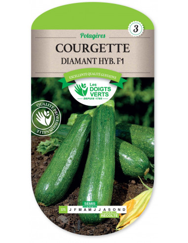 LES DOIGTS VERTS Courgette Diamant Hyb. F1