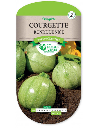 LES DOIGTS VERTS Courgette Ronde de Nice