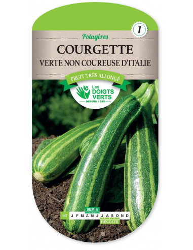 LES DOIGTS VERTS Courgette Verte Non Coureuse d’Italie