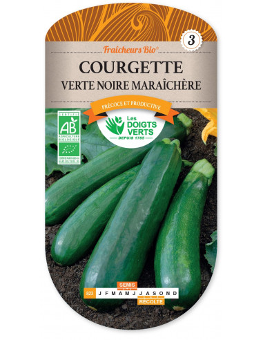 LES DOIGTS VERTS Courgette Verte Noire Maraîchère Bio