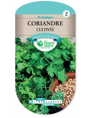 LES DOIGTS VERTS Coriandre Cultivée