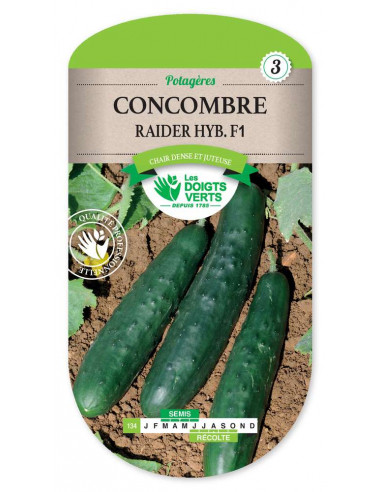 LES DOIGTS VERTS Concombre Raider Hyb. F1