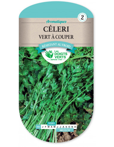 LES DOIGTS VERTS Céleri Vert à Couper