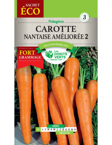 LES DOIGTS VERTS Carotte Nantaise Améliorée 2 Eco