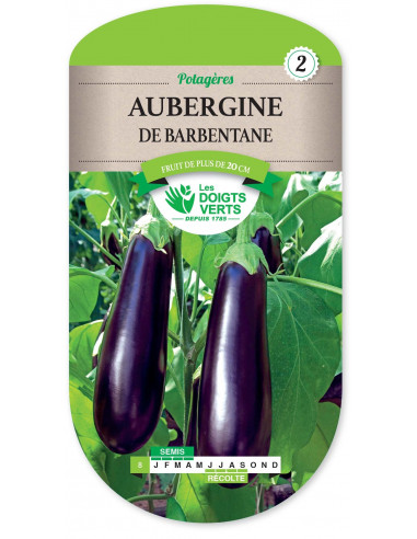 LES DOIGTS VERTS Aubergine De Barbentane