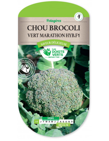 LES DOIGTS VERTS Chou Brocoli Vert Marathon Hybride F1