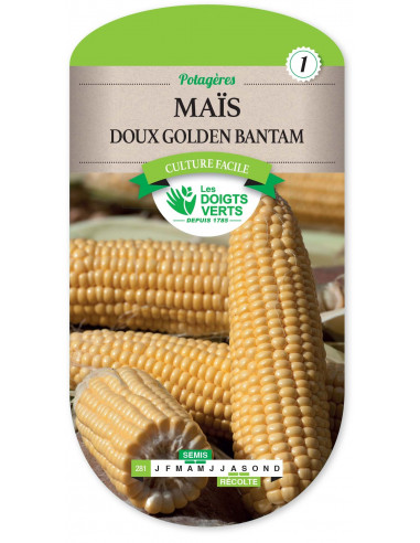 LES DOIGTS VERTS Mais Doux Golden Bantam