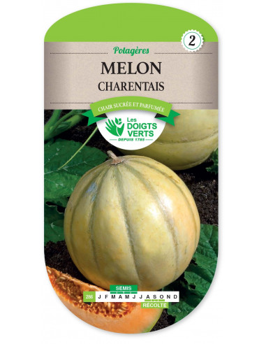 LES DOIGTS VERTS Melon Charentais