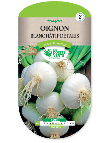 LES DOIGTS VERTS Oignon Blanc hatif de Paris