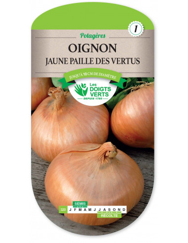 LES DOIGTS VERTS Oignon Jaune Paille des Vertus