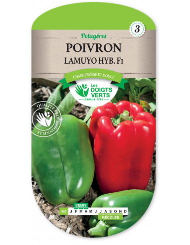 LES DOIGTS VERTS Poivron Lamuyo Hybride F1