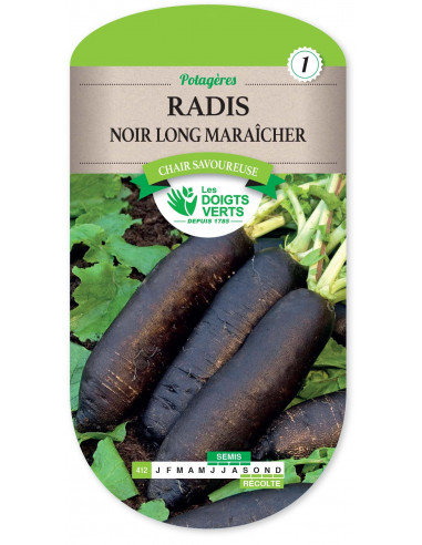 LES DOIGTS VERTS Radis Noir Long Maraicher