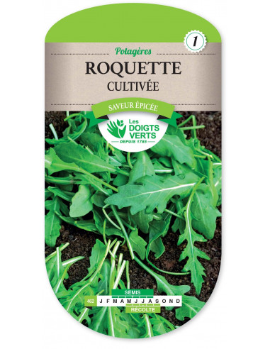 LES DOIGTS VERTS Roquette Cultivée