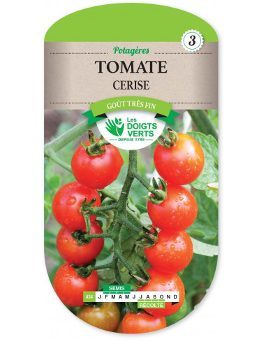 LES DOIGTS VERTS Tomate Cerise