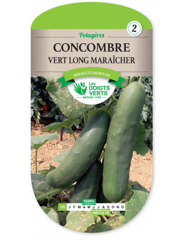 LES DOIGTS VERTS Concombre Vert Long Maraîcher