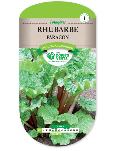 LES DOIGTS VERTS Rhubarbe Paragon